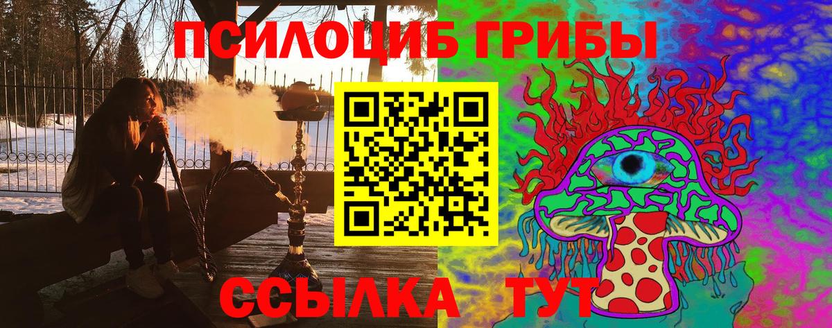 Галлюциногенные грибы GOLDEN TEACHER  Вход с VPN  Галлюциногенные грибы Cubensis  где продают наркотики  Набережные Челны 