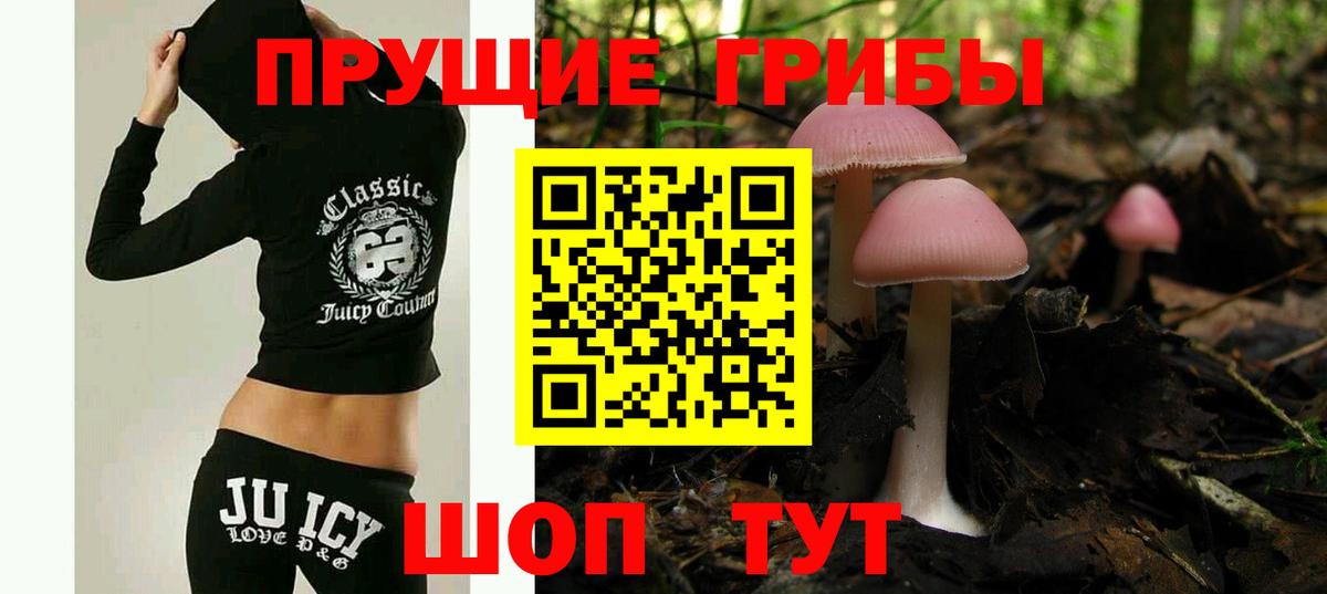 Галлюциногенные грибы Psilocybine cubensis Набережные Челны